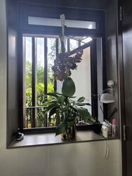 Botanique At Bartley (D19), Condominium #587620371